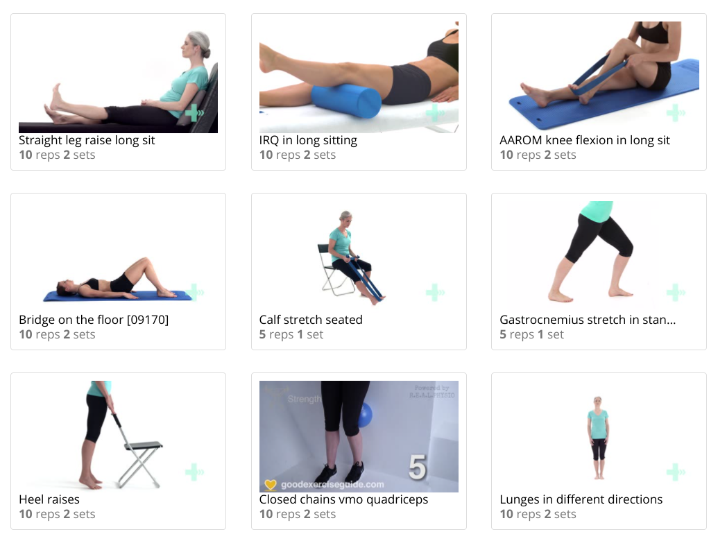 Knee Osteoarthritis Plan ZoomPhysio